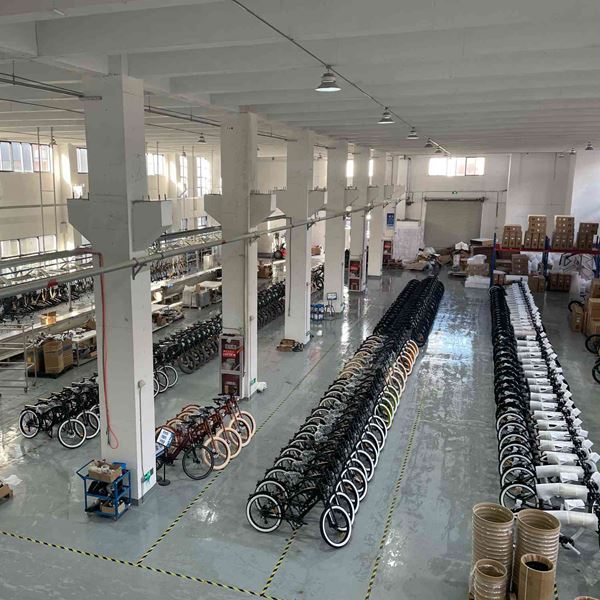 Expert OEM For Electricbike , Save Big!