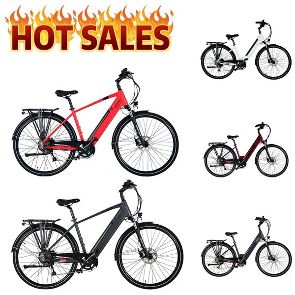 Check Out This Best-Seller! Want More Options? We’ve Got You Covered!