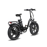 Foldable Fat Tire Ebike 48V Removable Battery 20" All-Terrain Design bike | Black Fat Foldable