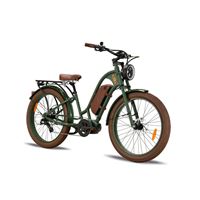 Beach Cruiser E-Bike Ride Bike Style Vacay Standard 500W 48V Mid Drive Moto | Vacay Mid Drive