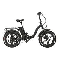 Foldable Fat Tire Ebike 48V Removable Battery 20" All-Terrain Design bike | Black Fat Foldable