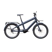 Electric Cargo Bike for Family | CG-RK3