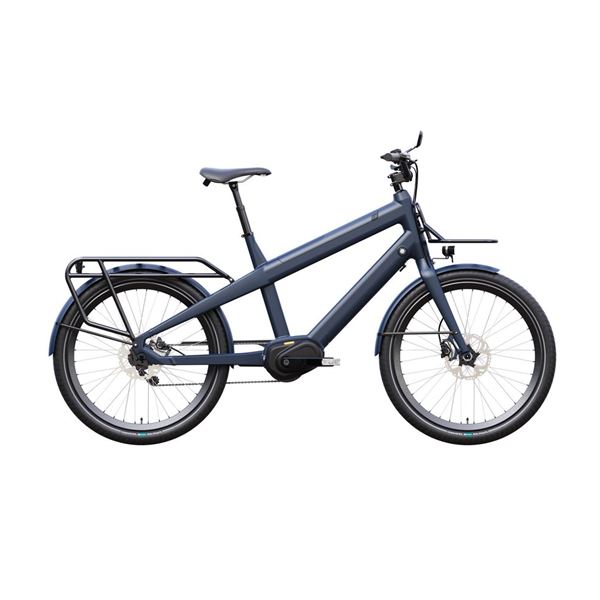 Electric Cargo Bike for Family | CG-RK3