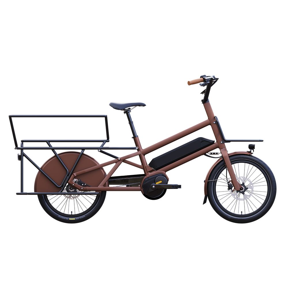 2025 Cargo Ebike 500w Motor With 2 Rear Seat Longtail Family Cargo Bike | CG-RK4