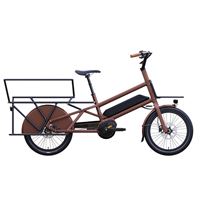 2025 Cargo Ebike 500w Motor With 2 Rear Seat Longtail Family Cargo Bike | CG-RK4