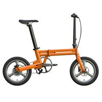20" Lightweight Simple Folding Electric Bike for Urban Commute - 250W Brushless Motor, 6061 Aluminum Frame | FD-RK2