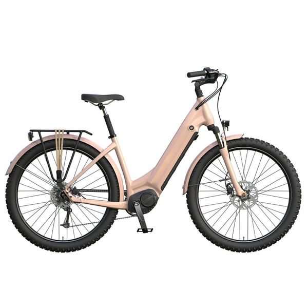 Daily Commuter Bike - Slip-Resistant Tires Quiet Ride Rush Hour Solution | Vancouver-Pink