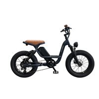 Parent-Child Weekend Bike - E-Scooter Look Family Short Trip Grass Ready | Kid-RK3