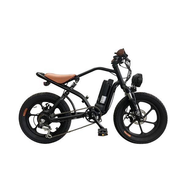 Kids E-Scooter Bike - Parent-Child Park Ride Cute Design LED Safety Light | Kid-RK2
