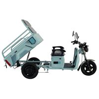 Electric Tricycles Three-Wheeler for Cargo & Passenger Transport Large Capacity Tipper Design, 650W Motor for Heavy-Duty Home Use | TW-RK1