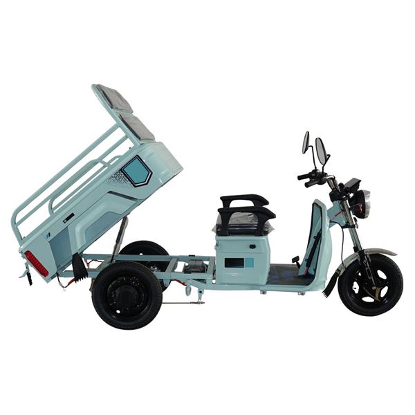 Electric Tricycles Three-Wheeler for Cargo & Passenger Transport Large Capacity Tipper Design, 650W Motor for Heavy-Duty Home Use | TW-RK1