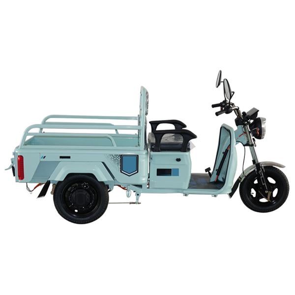 Electric Tricycles Three-Wheeler for Cargo & Passenger Transport Large Capacity Tipper Design, 650W Motor for Heavy-Duty Home Use | TW-RK1