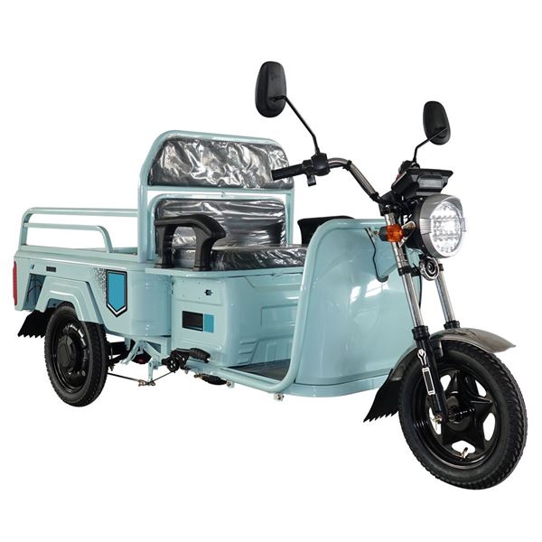 Electric Tricycles Three-Wheeler for Cargo & Passenger Transport Large Capacity Tipper Design, 650W Motor for Heavy-Duty Home Use | TW-RK1