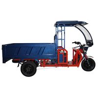 All-Purpose Electric Tricycle Three-Wheeler – Spacious Design for Family Cargo, Passenger & Heavy-Duty Home Use | TW-RK8