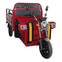 High-Capacity Electric Tricycle Three-Wheeler – Heavy-Duty Cargo Transport with 1000W Motor for Home Use | TW-RK4