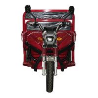 Tipper Electric Three-Wheeler Tricycle – Heavy-Duty Cargo Transport with 1200W Motor for Robust Home Use | TW-RK7