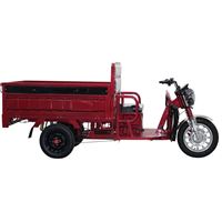Tipper Electric Three-Wheeler Tricycle – Heavy-Duty Cargo Transport with 1200W Motor for Robust Home Use | TW-RK7