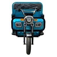 1200W Electric Three-Wheeler Tricycle – Long-Range Battery, Versatile for Cargo & Passenger Home Transport | TW-RK6