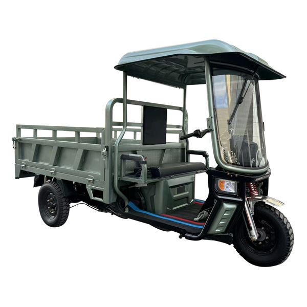 Roofed Electric Three-Wheeler Tricycle – All-Weather Large-Capacity Solution for Cargo & Passenger Home Transport | TW-RK5