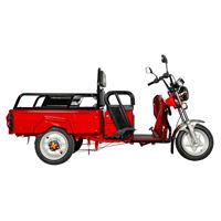 EEC Approved Passenger & Cargo Dual-Use Electric Tricycle for Agricultural & Home Cargo Transport, 650W Motor, 72V Battery | RKHFET06