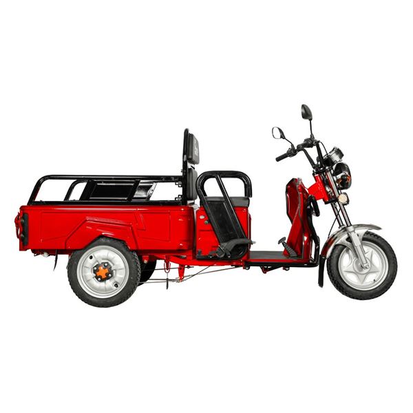 EEC Approved Passenger & Cargo Dual-Use Electric Tricycle for Agricultural & Home Cargo Transport, 650W Motor, 72V Battery | RKHFET06