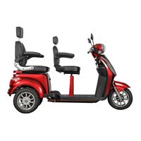 EEC Approved 2 - Seat Electric Tricycle for Home Use Hidden Storage Space, 650W Motor, 60V Battery | RKHFET10