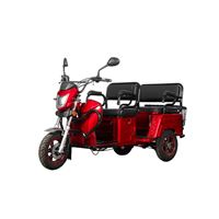EEC Approved Passenger & Cargo Dual-Use Electric Tricycle 3-Seat for Kids Pickup, 650W Motor, 72V Battery | RKHFET04
