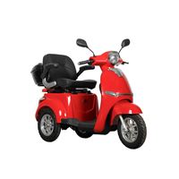 EEC Approved Electric Tricycle for Middle-Aged, Elderly & Moms 500W Motor, 48V/60V Battery Mobility Scooter | RKHFET01