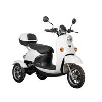EEC Approved Stylish Electric Tricycle – 500W Motor, 60V Battery, Ideal for Daily Commute | RKHFET03