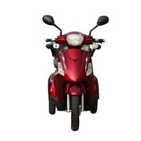 EEC Approved Electric Tricycle for Middle-Aged, Elderly & Moms 500W Motor, 48V/60V Battery Mobility Scooter | RKHFET07