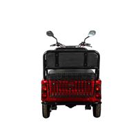 EEC Approved Passenger & Cargo Dual-Use Electric Tricycle 3-Seat for Kids Pickup, 650W Motor, 72V Battery | RKHFET04