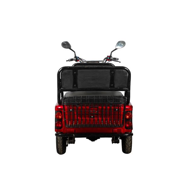 EEC Approved Passenger & Cargo Dual-Use Electric Tricycle 3-Seat for Kids Pickup, 650W Motor, 72V Battery | RKHFET04