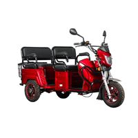 EEC Approved Passenger & Cargo Dual-Use Electric Tricycle 3-Seat for Kids Pickup, 650W Motor, 72V Battery | RKHFET04