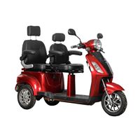 EEC Approved 2 - Seat Electric Tricycle for Home Use Hidden Storage Space, 650W Motor, 60V Battery | RKHFET10