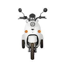 EEC Approved Stylish Electric Tricycle – 500W Motor, 60V Battery, Ideal for Daily Commute | RKHFET03