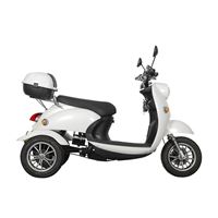 EEC Approved Stylish Electric Tricycle – 500W Motor, 60V Battery, Ideal for Daily Commute | RKHFET03