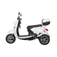 EEC Approved Stylish Electric Tricycle – 500W Motor, 60V Battery, Ideal for Daily Commute | RKHFET03