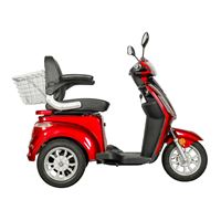 EEC Approved Electric Tricycle for Seniors Home Use with Large-Capacity Shelf & Hidden Storage, 500W Motor, Multiple Battery Options | RKHFET09