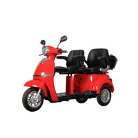 EEC Approved 2-Seat Electric Tricycle – 650W Motor, Mobility Scooter for Adults, Disabled & Home Daily Use | RKHFET02