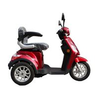 EEC Approved Electric Tricycle for Middle-Aged, Elderly & Moms 500W Motor, 48V/60V Battery Mobility Scooter | RKHFET07