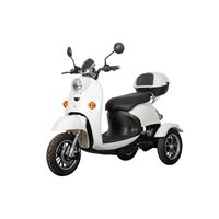 EEC Approved Stylish Electric Tricycle – 500W Motor, 60V Battery, Ideal for Daily Commute | RKHFET03