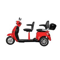 EEC Approved 2-Seat Electric Tricycle – 650W Motor, Mobility Scooter for Adults, Disabled & Home Daily Use | RKHFET02