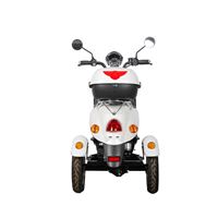 EEC Approved Stylish Electric Tricycle – 500W Motor, 60V Battery, Ideal for Daily Commute | RKHFET03
