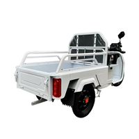 EEC Certified Electric Cargo Tricycle - 650W Motor Heavy-Duty Tipper Home & Commercial Use | TW-RK1-EEC