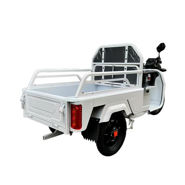 EEC Certified Electric Cargo Tricycle - 650W Motor Heavy-Duty Tipper Home & Commercial Use | TW-RK1-EEC