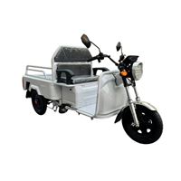EEC Certified Electric Cargo Tricycle - 650W Motor Heavy-Duty Tipper Home & Commercial Use | TW-RK1-EEC