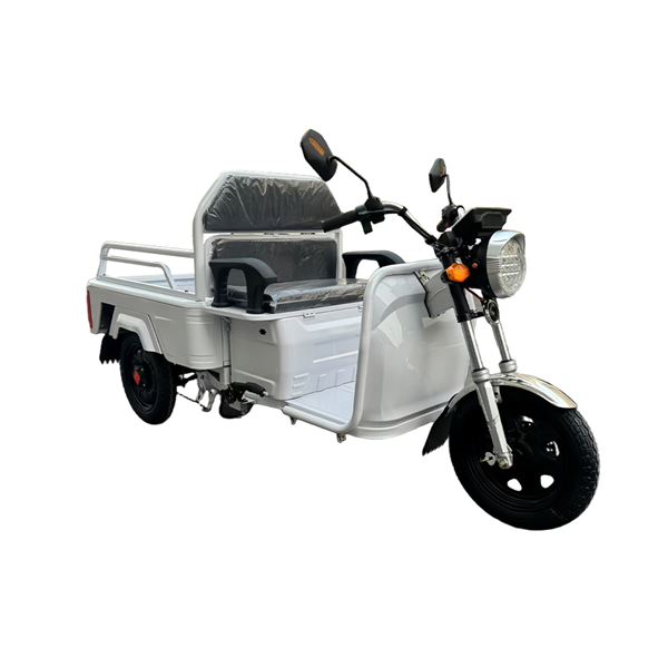 EEC Certified Electric Cargo Tricycle - 650W Motor Heavy-Duty Tipper Home & Commercial Use | TW-RK1-EEC