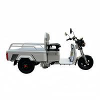 EEC Certified Electric Cargo Tricycle - 650W Motor Heavy-Duty Tipper Home & Commercial Use | TW-RK1-EEC