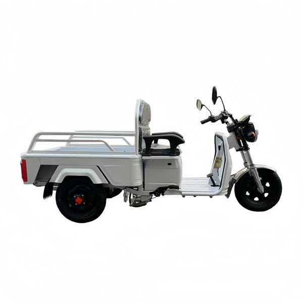 EEC Certified Electric Cargo Tricycle - 650W Motor Heavy-Duty Tipper Home & Commercial Use | TW-RK1-EEC