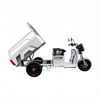 EEC Certified Electric Cargo Tricycle - 650W Motor Heavy-Duty Tipper Home & Commercial Use | TW-RK1-EEC